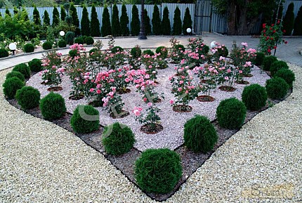 Розкішний палац у класичному стилі з озером