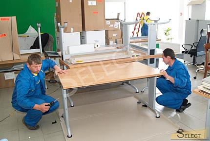 Modern office in natural colors